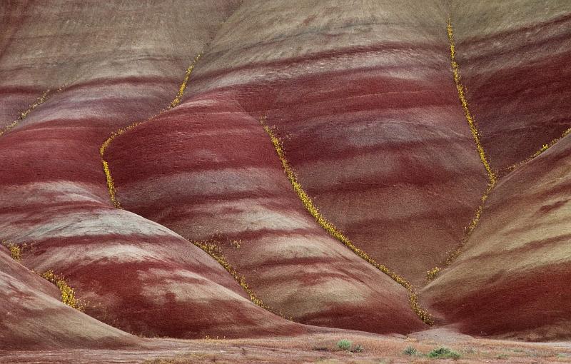 Painted Hills 3.jpg